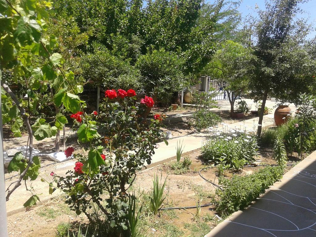 Aegean Harmony Appartement Platis Gialos  Buitenkant foto