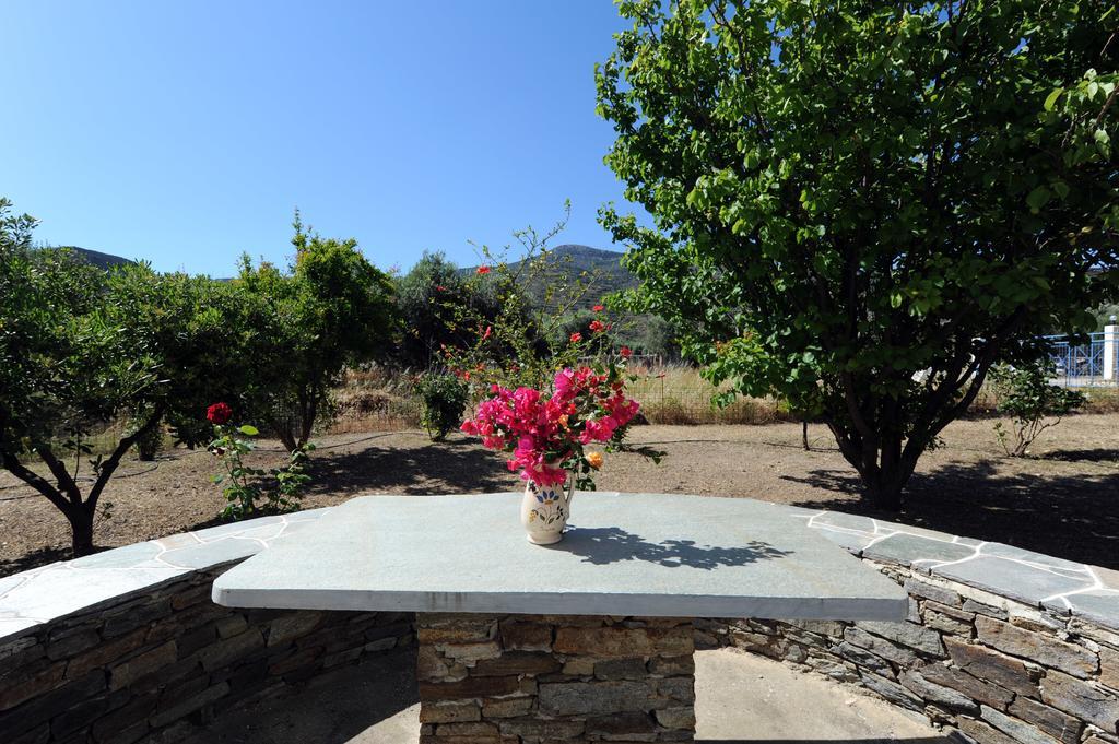Aegean Harmony Appartement Platis Gialos  Buitenkant foto
